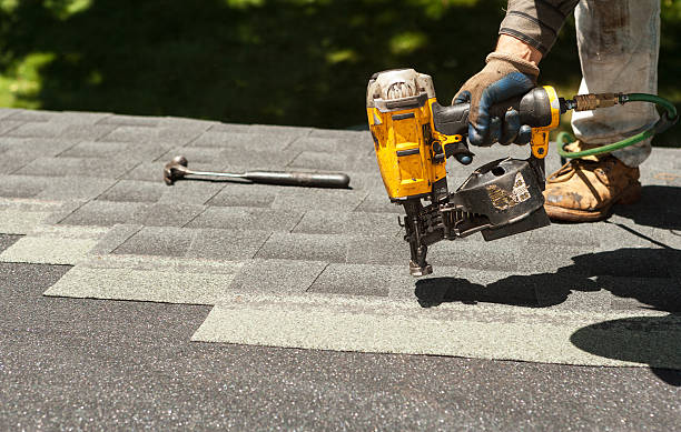 Best Roof Moss and Algae Removal  in Somerville, TX